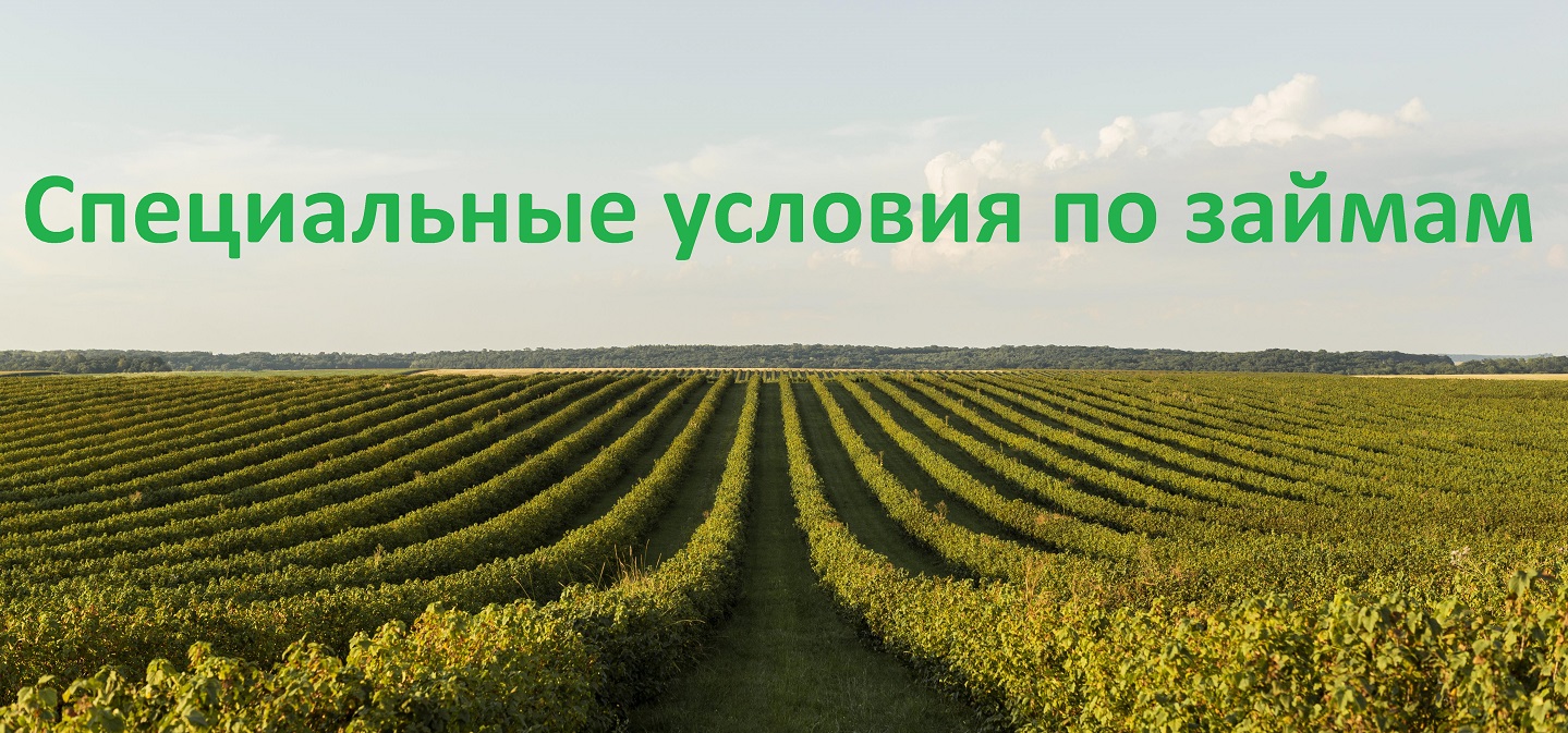 Новые возможности для клиентов Мани Капитал!